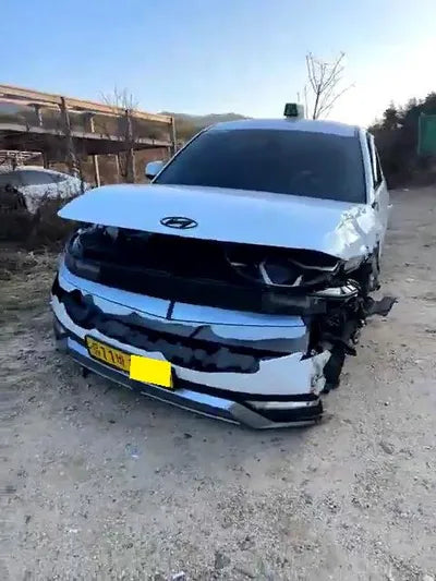 2021 Hyundai Ioniq KMHKL81AFNU043141 VIN:KMHKL81AFNU043141