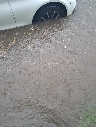 2020 Mercedes-Benz C 200 W1KWF8AB5LR571223 VIN:W1KWF8AB5LR571223