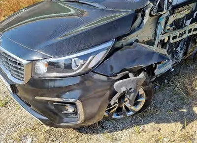 2019 Kia Carnival KNAMC81ABKS559805 VIN:KNAMC81ABKS559805
