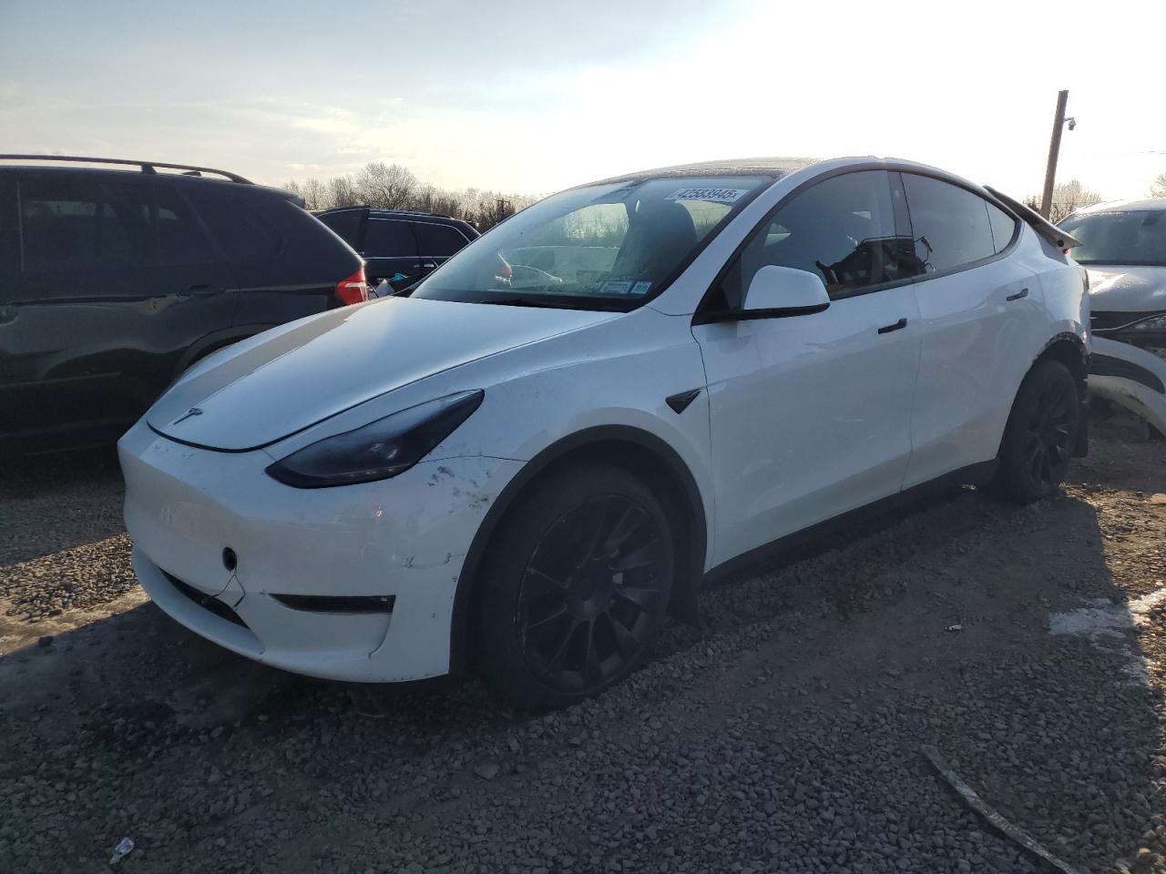 2023 TESLA MODEL Y  VIN:7SAYGDEE3PF673843