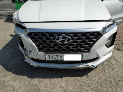 2019 Hyundai Santa FE KMHS581ABLU226176 VIN:KMHS581ABLU226176