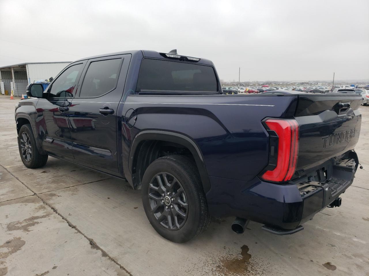 2023 TOYOTA TUNDRA CREWMAX PLATINUM VIN:5TFNA5ABXPX029779