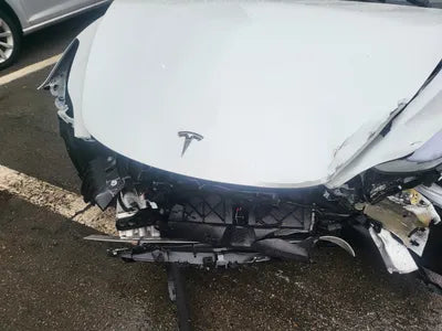 2022 Tesla Model 3 5YJ3E1EB2NF151316 VIN:5YJ3E1EB2NF151316