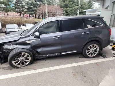 2021 Kia Sorento KNARK81BGMA006864 VIN:KNARK81BGMA006864
