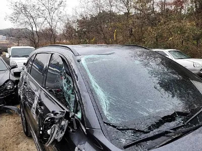 2022 Kia Sorento KNARH81GBNA101047 VIN:KNARH81GBNA101047