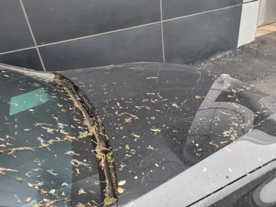 2022 Mercedes-Benz S 580 W1K6G7GB1NA105739 VIN:W1K6G7GB1NA105739