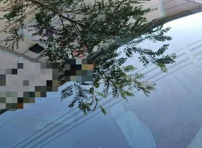 2017 Kia Sorento VIN: