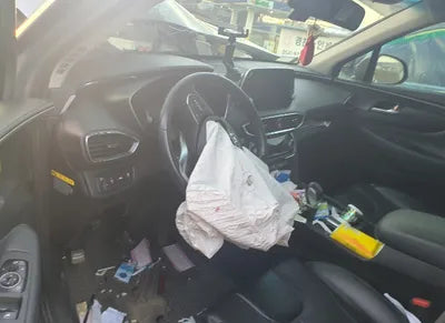 2020 Hyundai Santa FE KMKMHS281BBLU2313 VIN:KMKMHS281BBLU2313