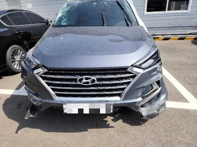 2020 Hyundai Tucson KMHJ3812GLU289063 VIN:KMHJ3812GLU289063
