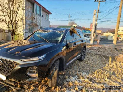 2019 Hyundai Santa FE KMHS381CBKU019453 VIN:KMHS381CBKU019453