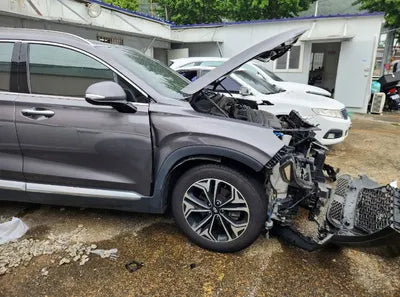 2019 Hyundai Santa FE VIN: