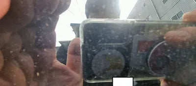 2017 Mercedes-Benz C 200 WDDWF4CB1HF548214 VIN:WDDWF4CB1HF548214