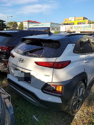 2018 Hyundai Kona KMHK3816GJU205522 VIN:KMHK3816GJU205522