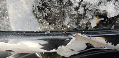 2021 Lexus ES 300 JTHBA1C11N2007243 VIN:JTHBA1C11N2007243