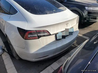 2020 Tesla Model 3 5YJ3E1EB1LF809771 VIN:5YJ3E1EB1LF809771