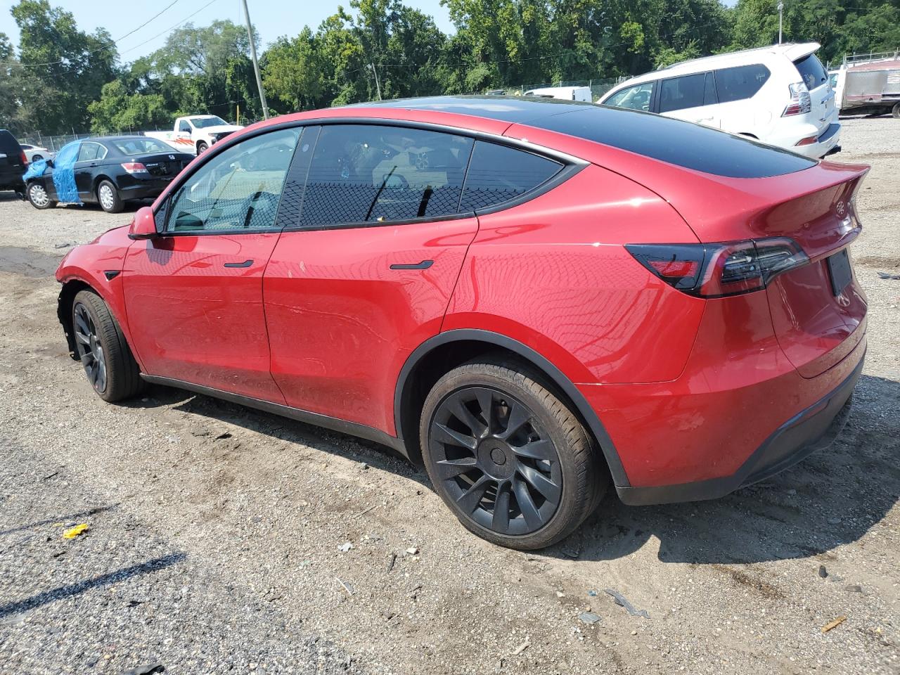 2023 TESLA MODEL Y  VIN:7SAYGDEE2PA030106