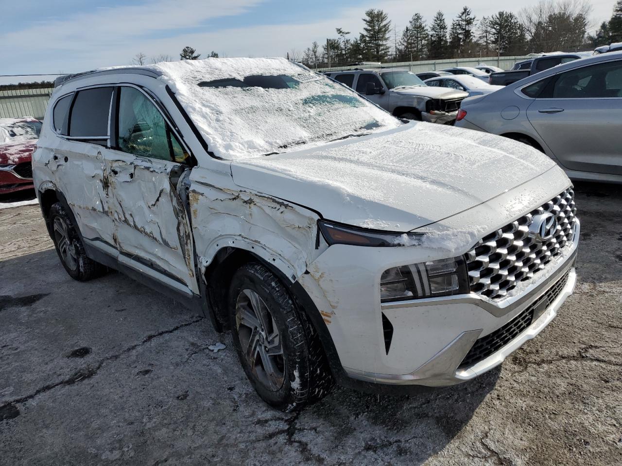 2023 HYUNDAI SANTA FE SEL PREMIUM VIN:5NMS3DAJ8PH658013