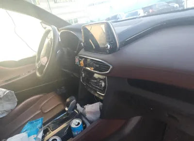 2019 Hyundai Santa FE KMHS581CBKU109769 VIN:KMHS581CBKU109769
