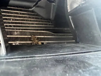 2015 Volkswagen Jetta WVWZZZ16ZFM041275 VIN:WVWZZZ16ZFM041275