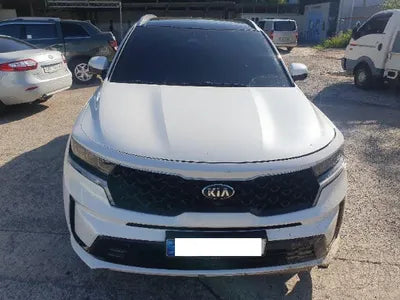 2021 Kia Sorento KNARH81BGMA088258 VIN:KNARH81BGMA088258