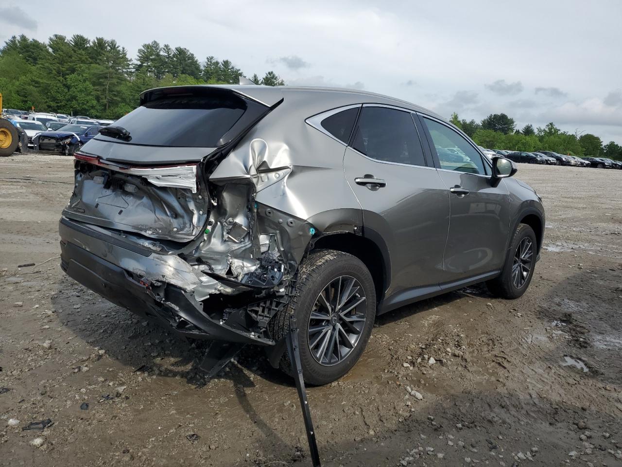 2023 LEXUS NX 350 VIN:2T2AGCEZ4PC031160