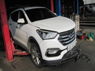 2018 Hyundai Santa FE KMHSW81UDJU796472 VIN:KMHSW81UDJU796472