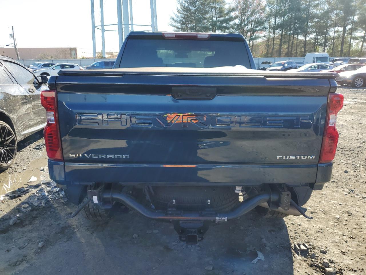 2022 CHEVROLET SILVERADO K1500 CUSTOM VIN:1GCPDBEK9NZ522492