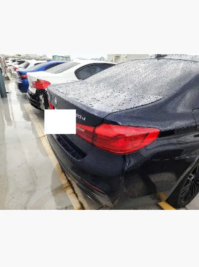 2019 BMW 520 WBAJF510XKWW42477 VIN:WBAJF510XKWW42477