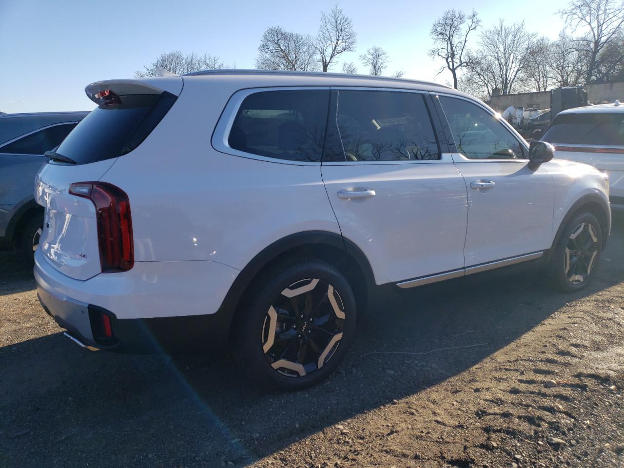 2024 KIA TELLURIDE S VIN:5XYP6DGCXRG510156