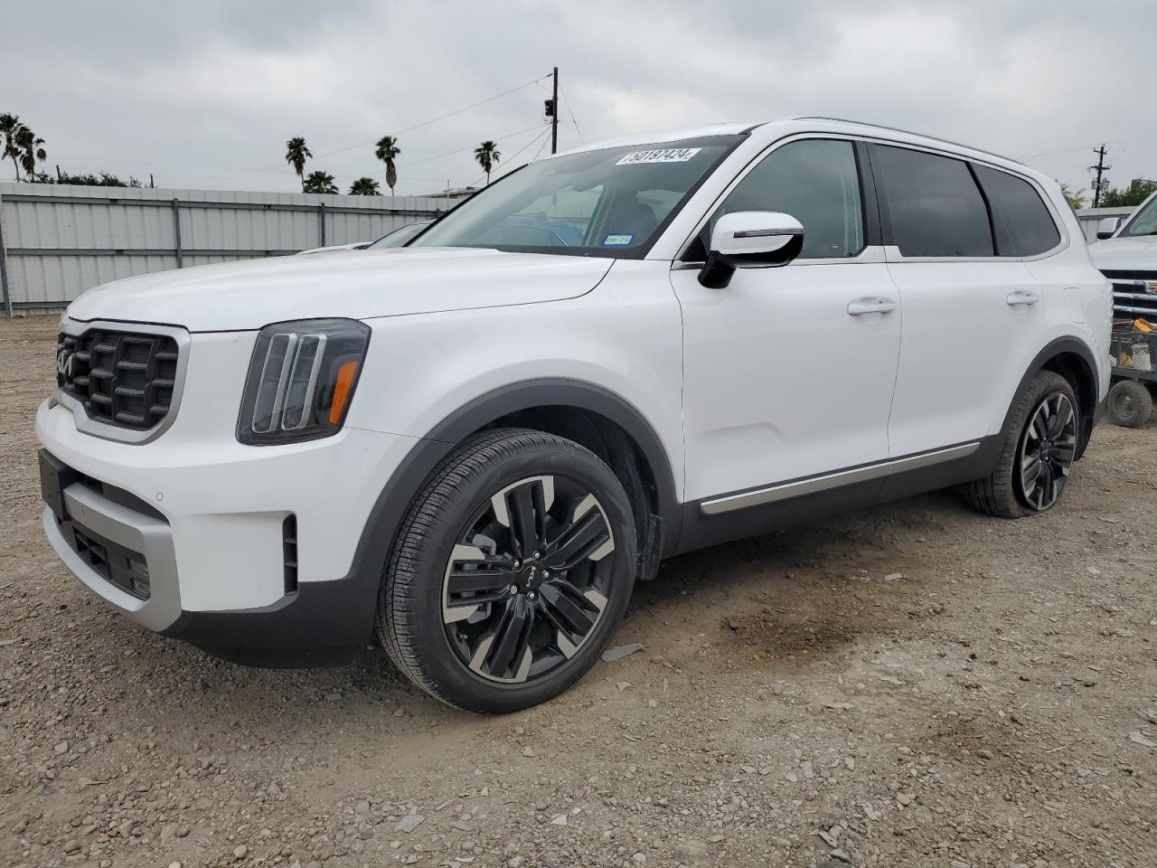 2024 KIA TELLURIDE SX VIN:5XYP54GCXRG431122