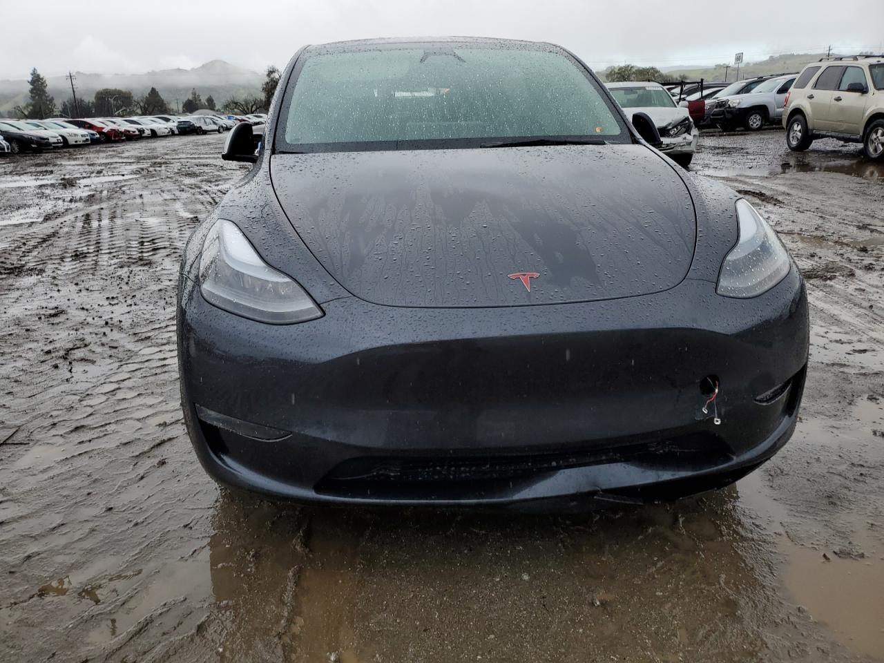 2024 TESLA MODEL Y  VIN:7SAYGDEE8RF060376