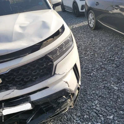 2023 Kia Sorento KNARH81FGPA185808 VIN:KNARH81FGPA185808