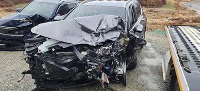 2019 Hyundai Santa FE KMHS281CBKU047573 VIN:KMHS281CBKU047573