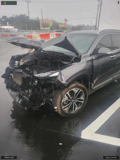 2018 Hyundai Santa FE KMHS381BDKU070457 VIN:KMHS381BDKU070457