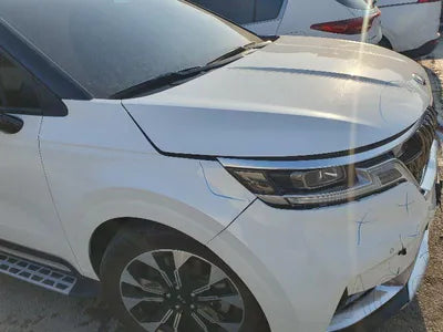 2021 Kia Carnival KNANE81BBMS092394 VIN:KNANE81BBMS092394