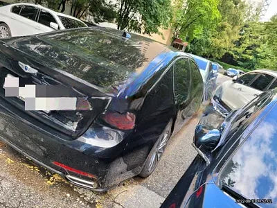 2016 acupuncture nessis 3.3 NONE VIN: