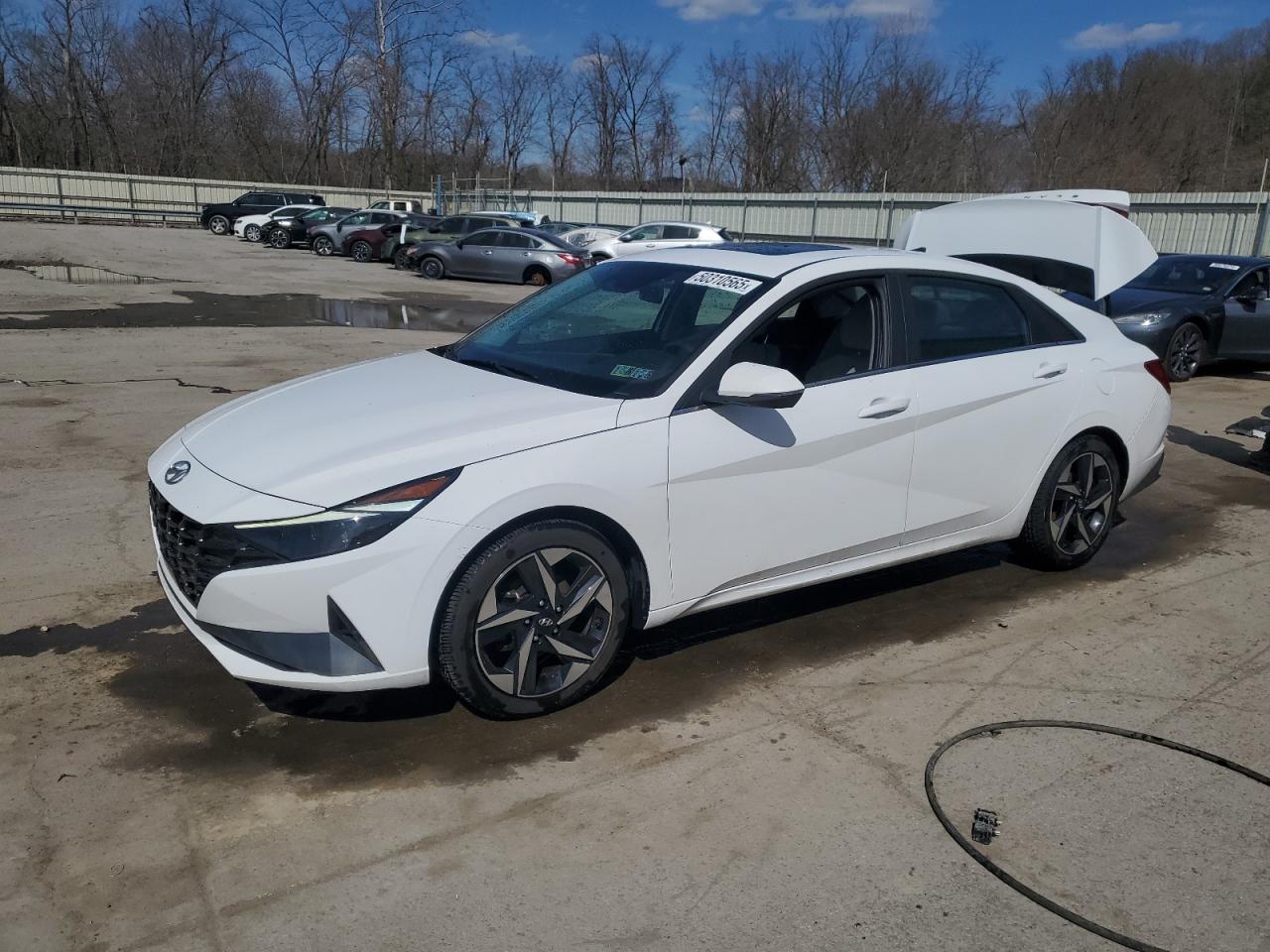 2023 HYUNDAI ELANTRA LIMITED VIN:KMHLN4AJ5PU048637