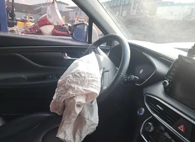 2020 Hyundai Santa FE 1KMHS381ABLU19660 VIN:1KMHS381ABLU19660