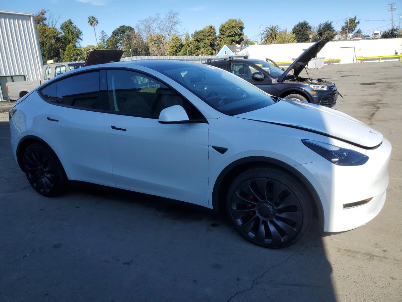 2024 TESLA MODEL Y  VIN:7SAYGDEFXRF117959
