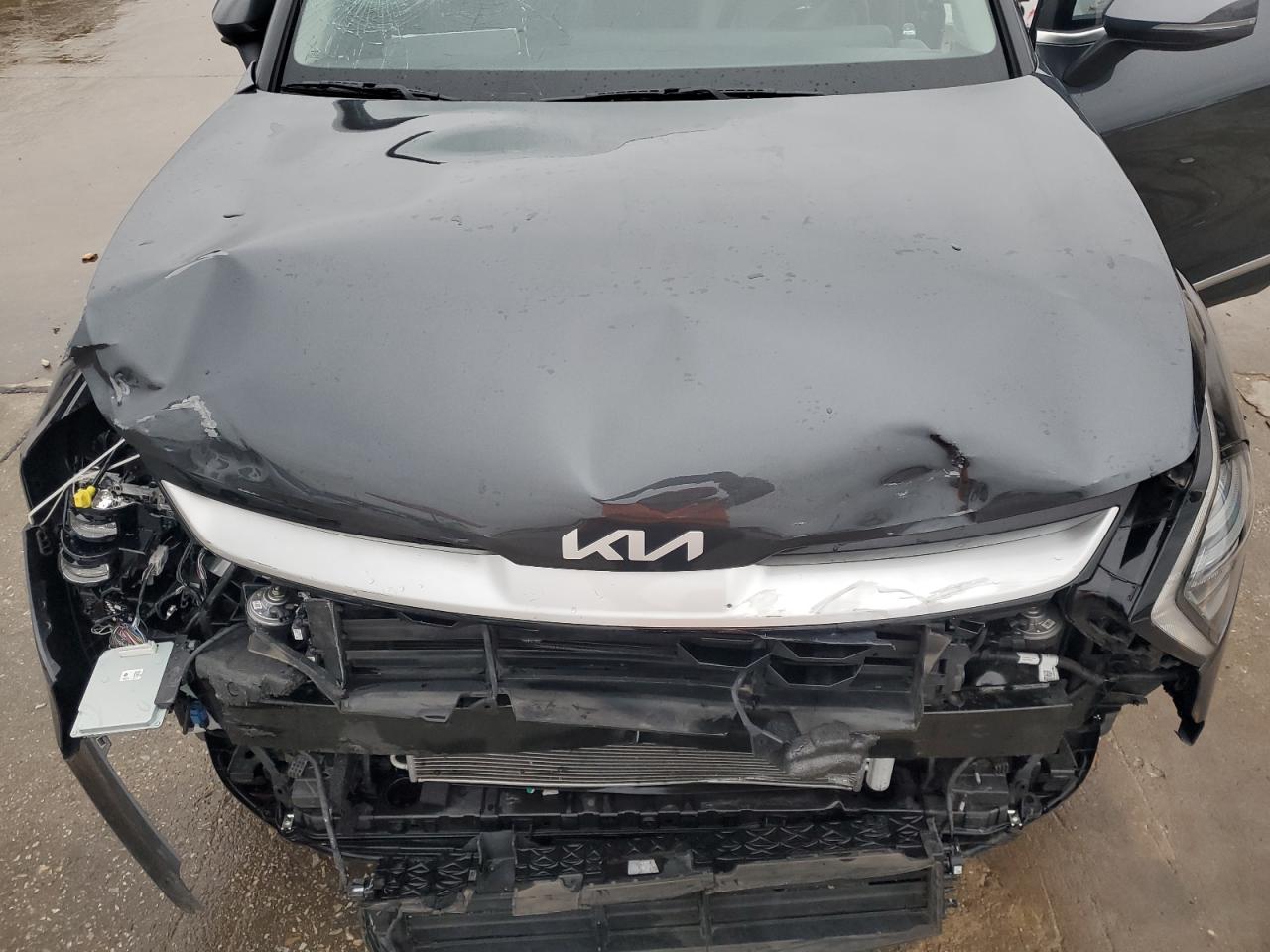 2024 KIA SPORTAGE EX VIN:5XYK33DF5RG159135