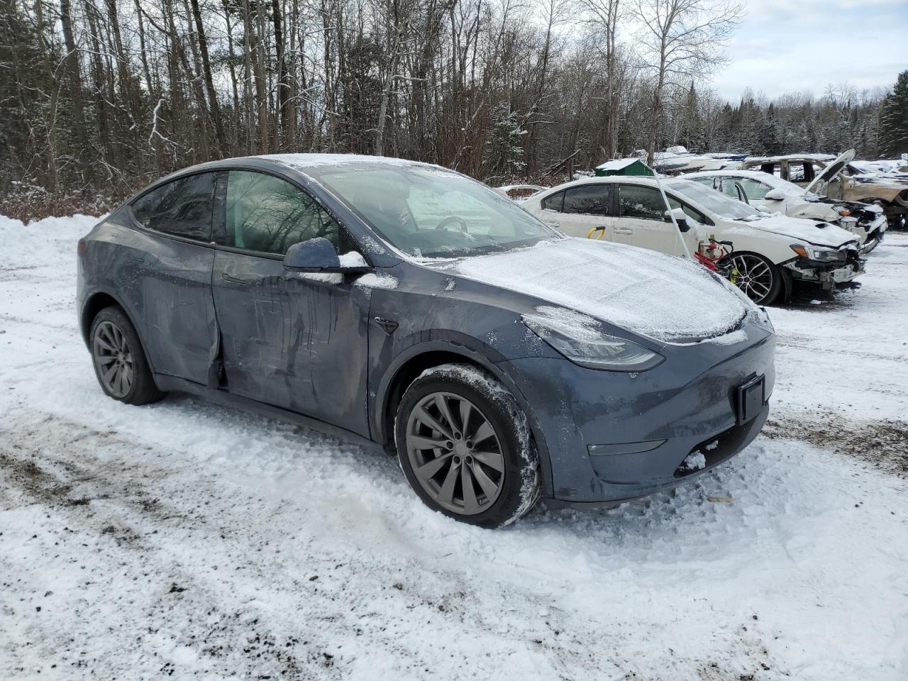2023 TESLA MODEL Y  VIN:7SAYGDEE0PF597059