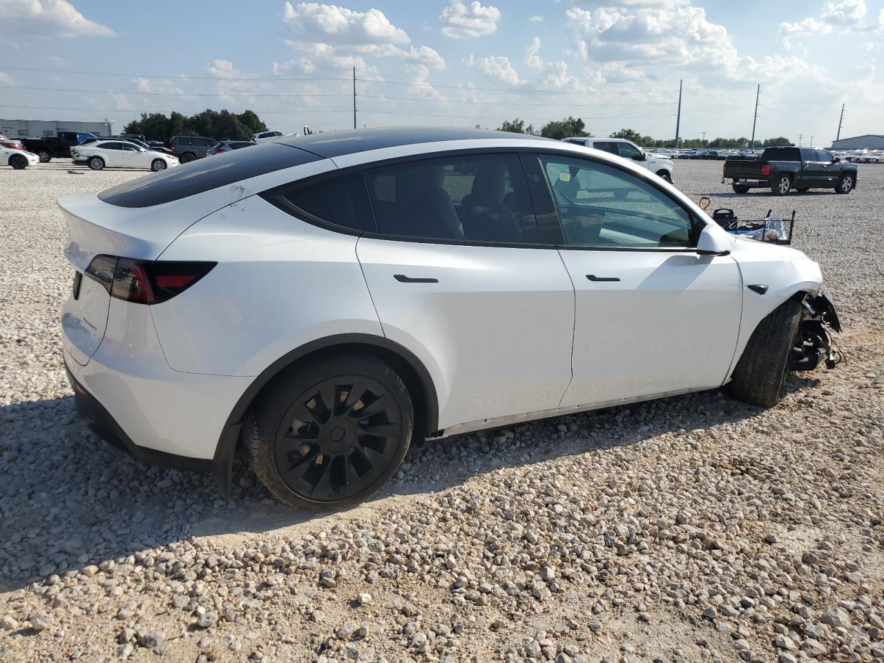 2023 TESLA MODEL Y  VIN:7SAYGDEE1PA147630