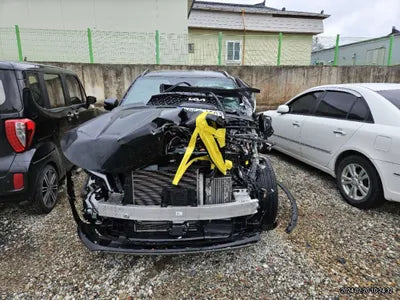 2022 Kia Sorento KNARL81GBNA122306 VIN:KNARL81GBNA122306
