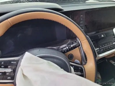 2021 Kia Sorento KNARH81GDMA017507 VIN:KNARH81GDMA017507