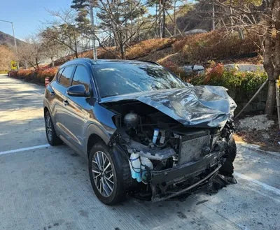 2019 Hyundai Tucson KMHJ5817GKU943387 VIN:KMHJ5817GKU943387