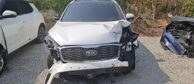 2019 Kia Sorento KNAPS81BBLA564800 VIN:KNAPS81BBLA564800