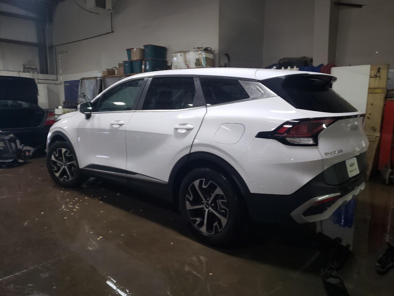 2024 KIA SPORTAGE EX VIN:5XYK33DF6RG202901