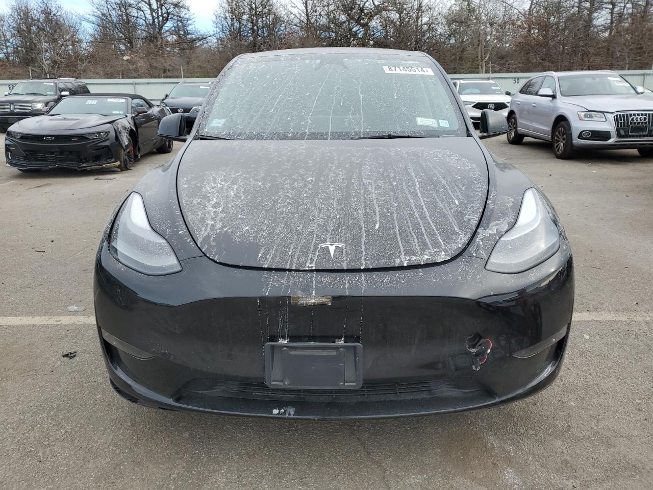 2023 TESLA MODEL Y  VIN:7SAYGDEE7PA183516