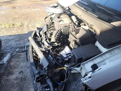 2019 Hyundai Kona KMHK7815GKU319444 VIN:KMHK7815GKU319444