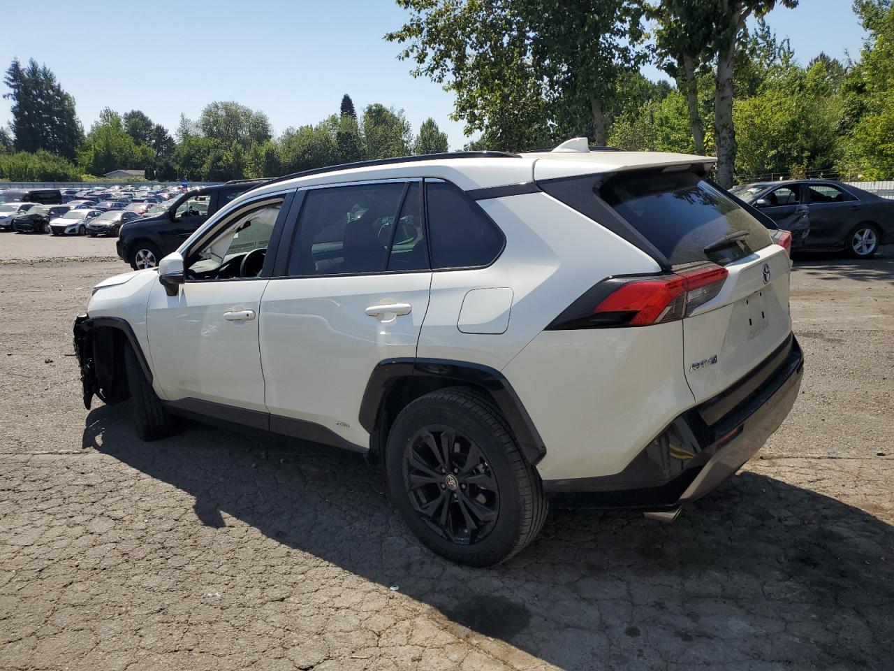 2022 TOYOTA RAV4 SE VIN:4T3T6RFV6NU065909